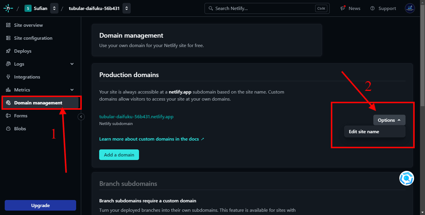 Screenshot of the Netlify dashboard's domain management section, with red arrows pointing to the 'Domain management' tab and the 'Options' button with 'Edit site name,' illustrating domain management and site name editing.